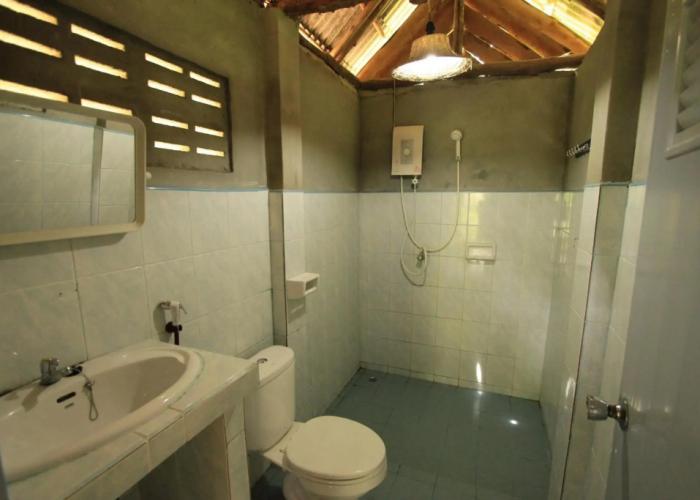 Khaosok Palmview