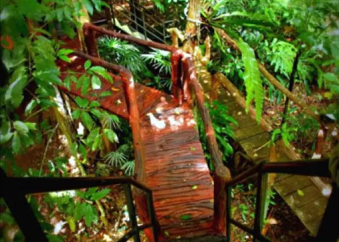 Khao Sok Tree House