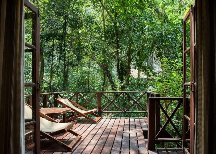 Our Jungle House