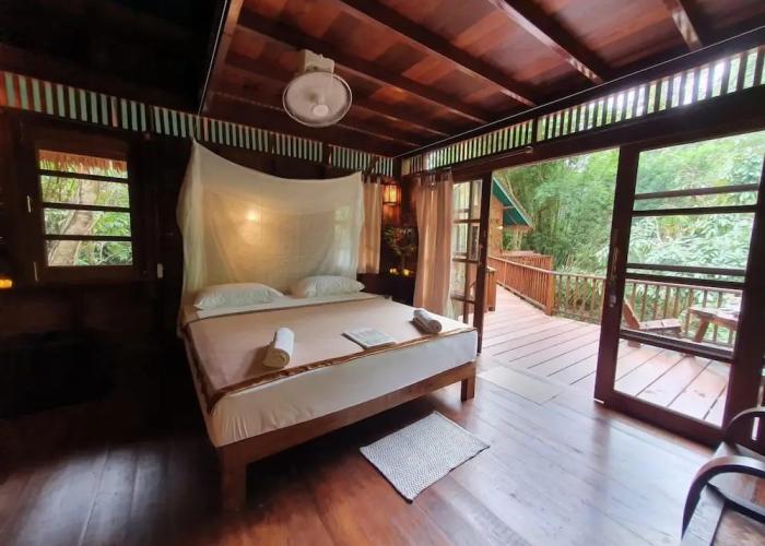 Our Jungle House