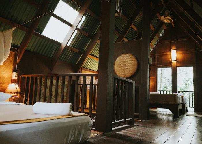 Our Jungle House