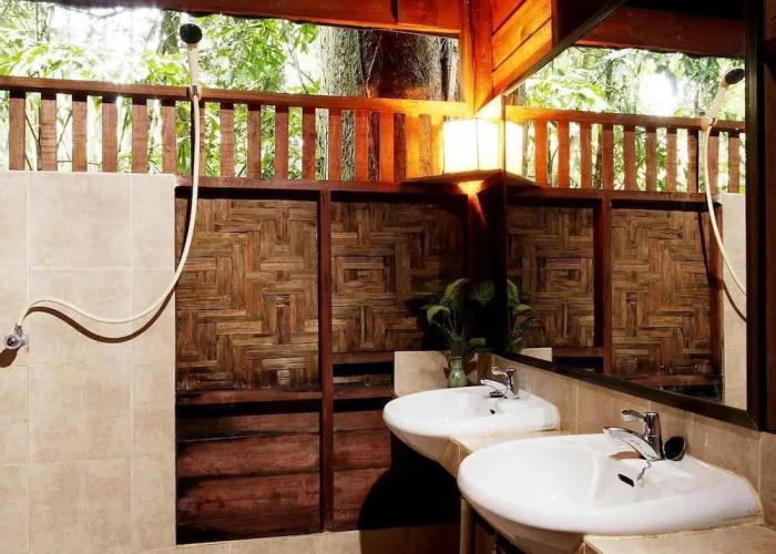 Our Jungle House