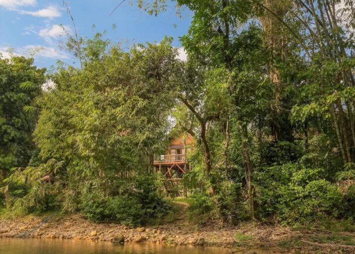 Our Jungle Camp - Eco Resort
