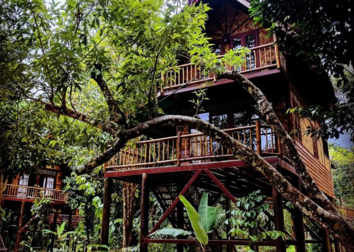 Our Jungle Camp - Eco Resort