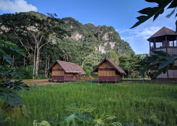 Our Jungle Camp - Eco Resort