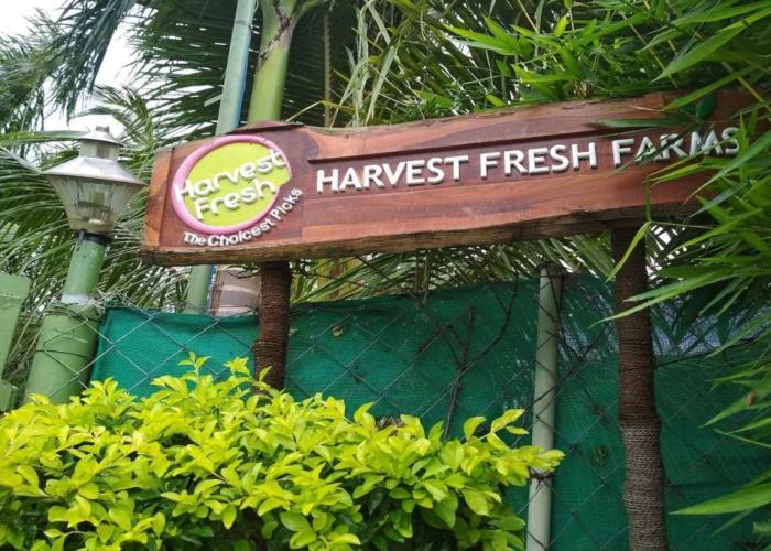 Harvest Fresh Farms