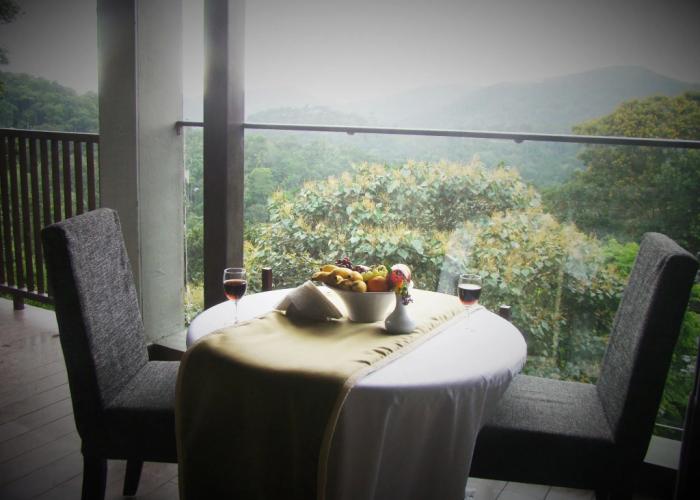 The Mountain Courtyard Thekady