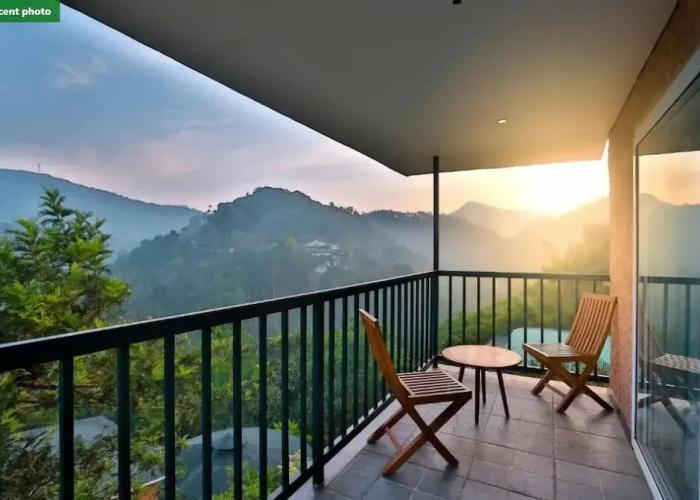 The Violet Thekkady
