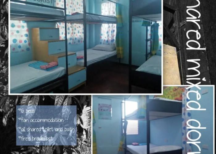 Casa Isabel Hostel