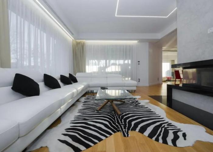 Suite  Testani