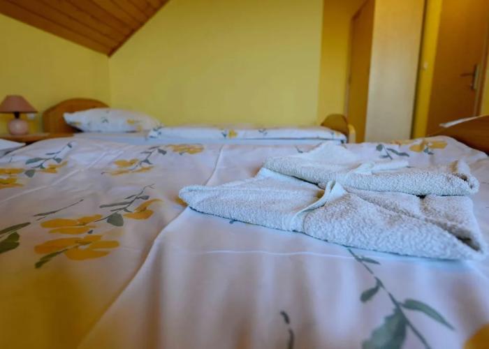 Guest House Koprivnik