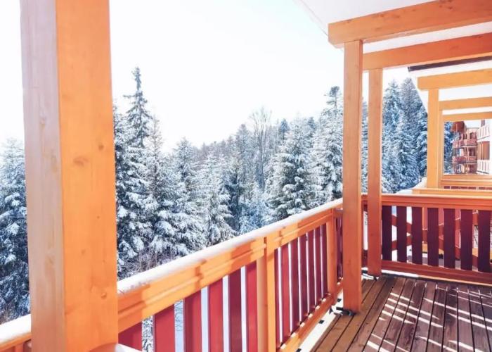 Pohorje Village Wellbeing Resort – Forest Hotel Videc