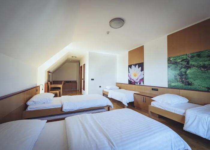 Pohorje Village Wellbeing Resort – Forest Hotel Videc