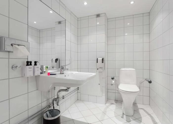 Frich´s Hotel Hamar