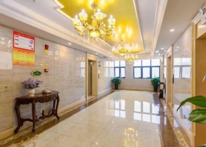 Vienna International Hotel (Daxin Detian Square)