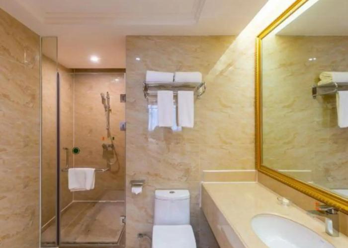 Vienna International Hotel (Daxin Detian Square)