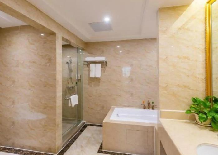 Vienna International Hotel (Daxin Detian Square)