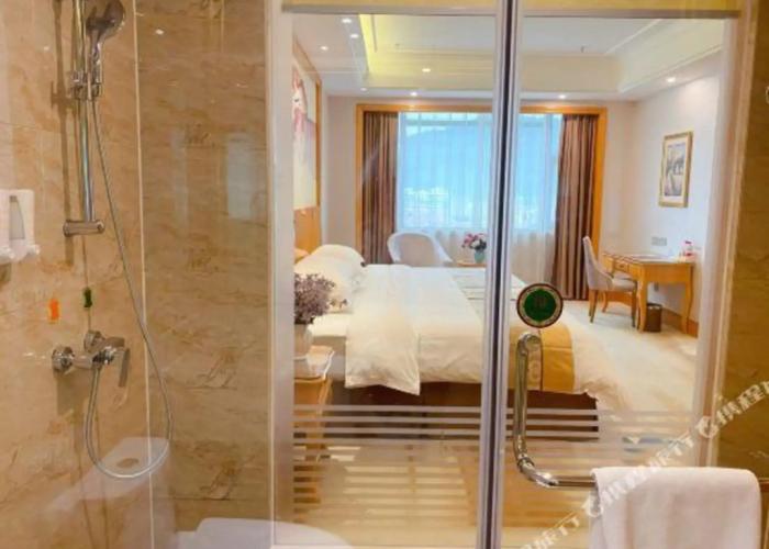 Vienna International Hotel (Daxin Detian Square)
