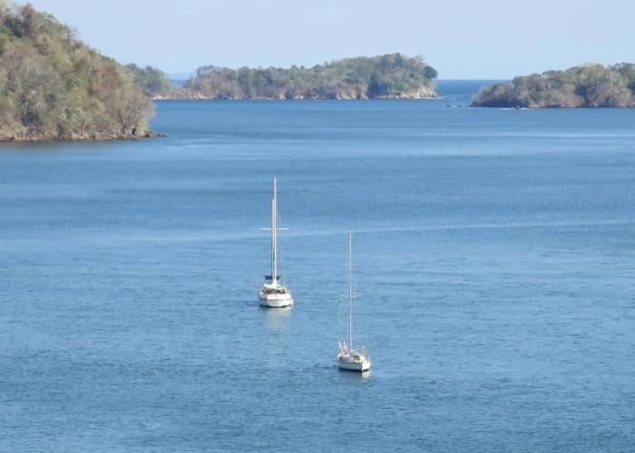 Seagull Cove Resort