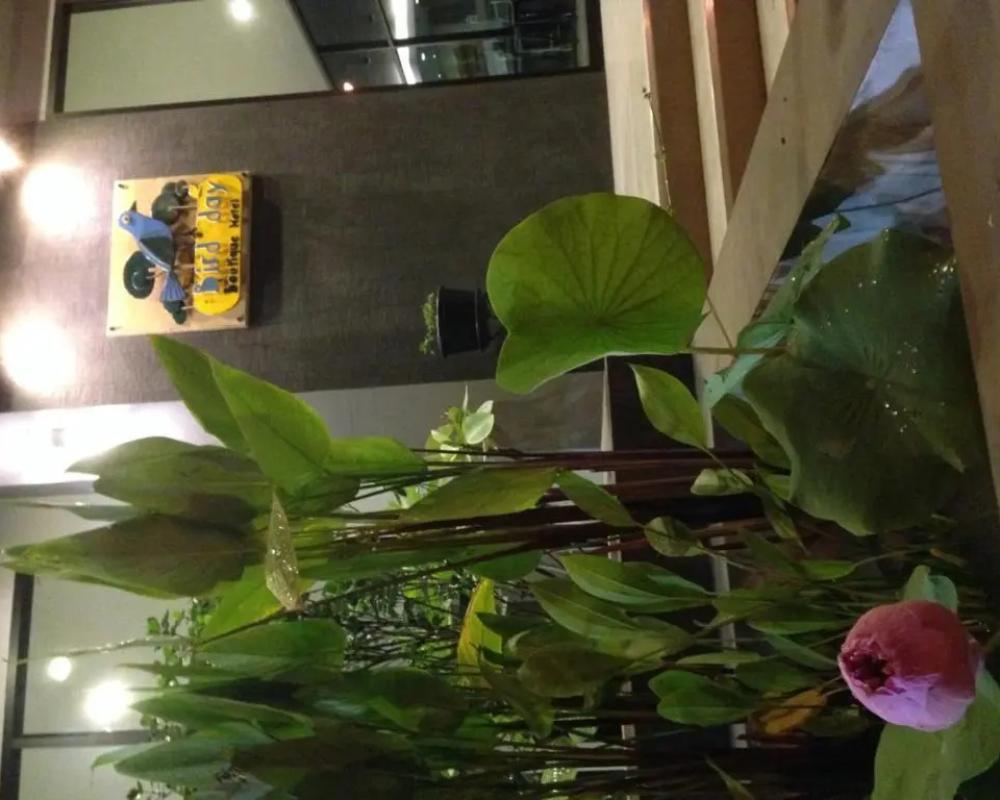 фото Bird Day Boutique Hotel