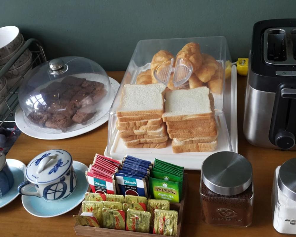 фото Bird Day Boutique Hotel