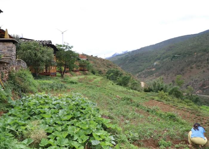 Wangdue EcoLodge
