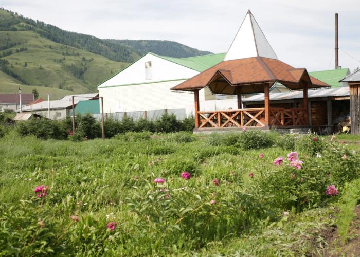 Portal Beluha Guest House