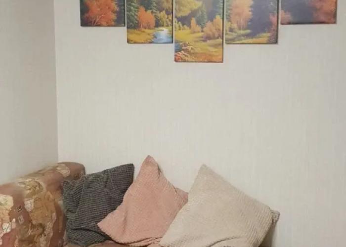 Dvukhkomnatnaya kvartira v tsentre Flat