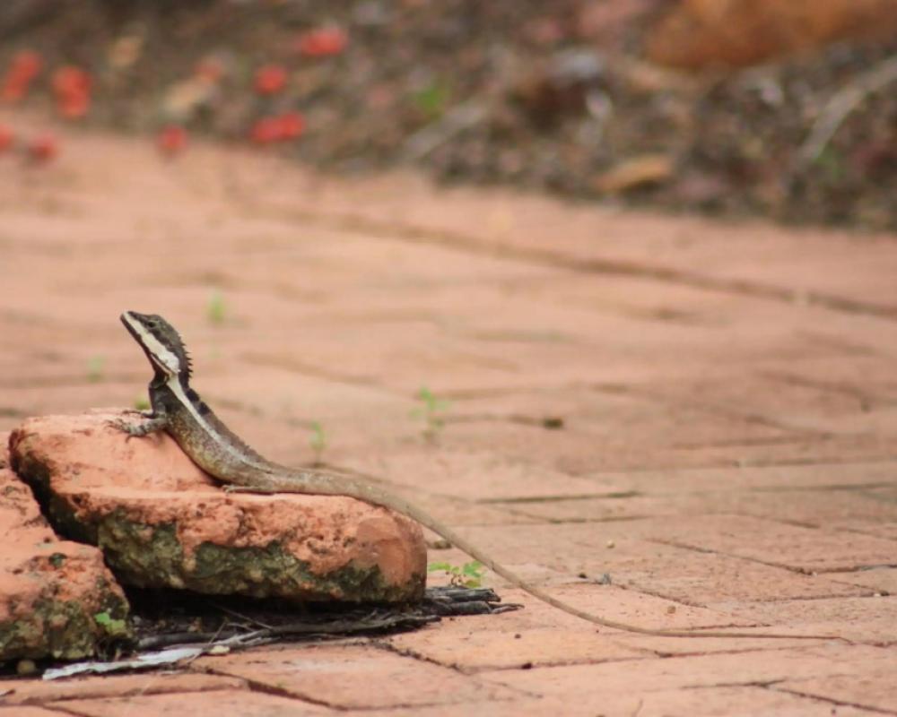 Coconut Grove Holiday Apartments