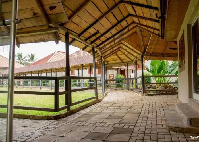 Rainforest Lodge