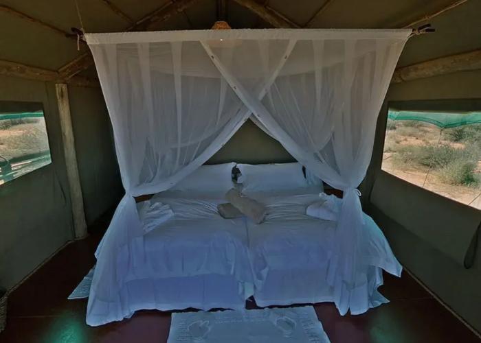 Suricate Tented Lodge
