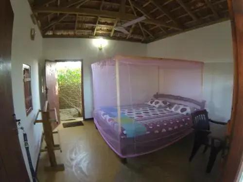 Safasurf Camp - Hostel