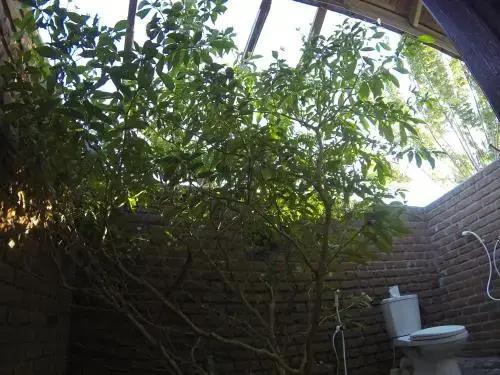 Safasurf Camp - Hostel