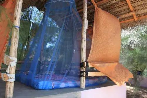 Safasurf Camp - Hostel