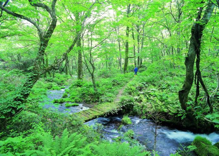 Kyukamura Oku-Daisen