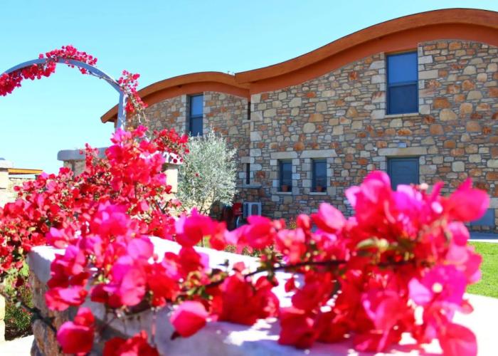 Estrella Villas