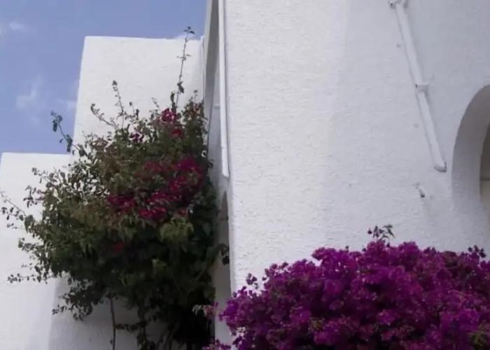 Hostal Las Gaviotas