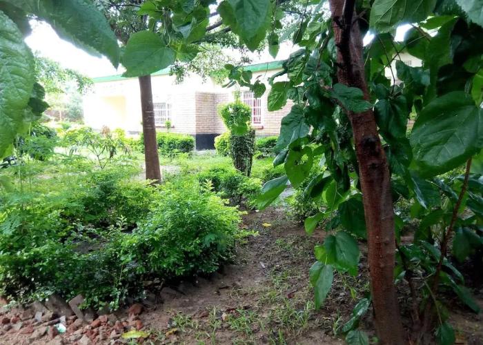 Lodge B Mawira
