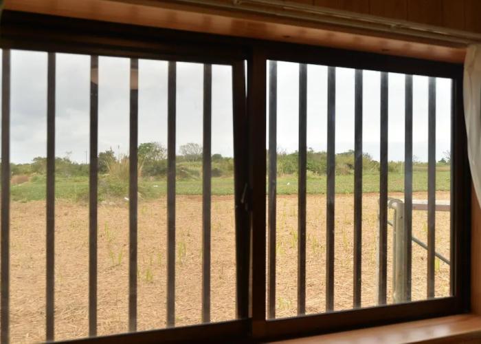 star light terrace TERUYA