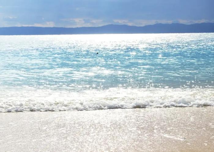 star light terrace TERUYA