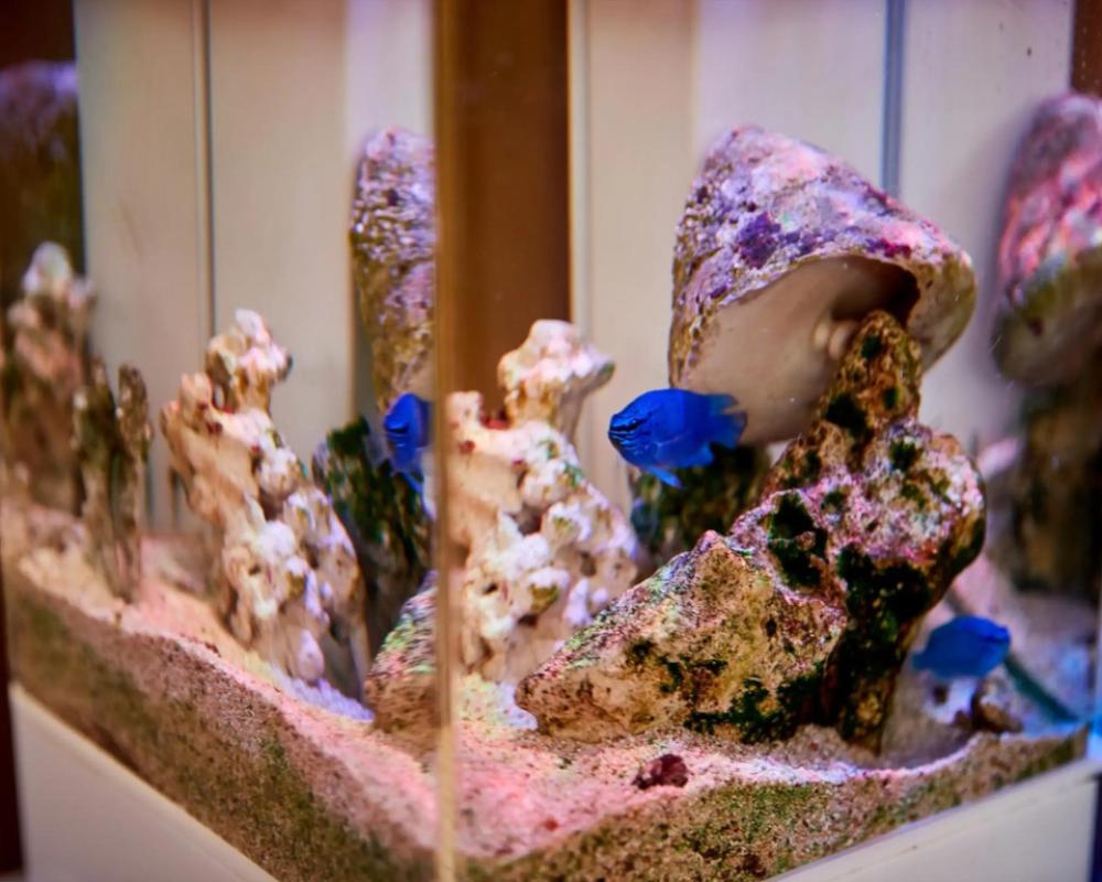 фото Nagahama Beach Resort Kanon