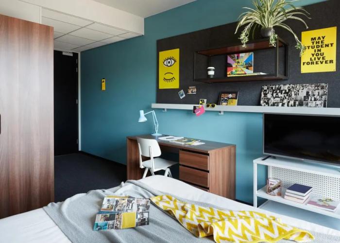 The Social Hub Groningen