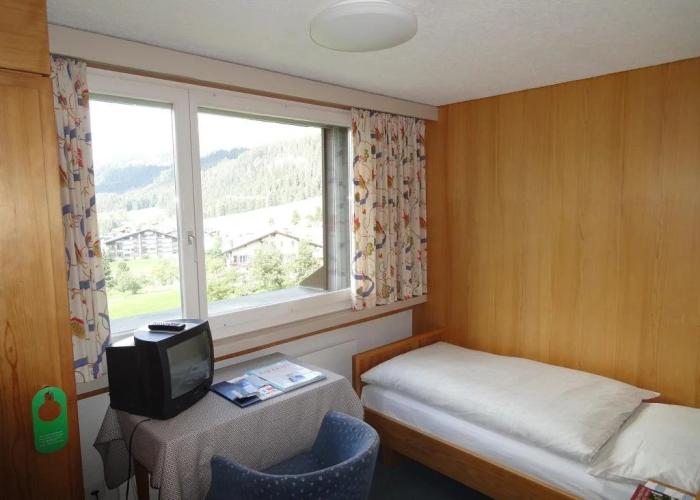 Hotel Alpina Parpan