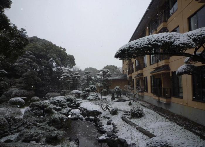 Yanagawa Hakuryu Soh