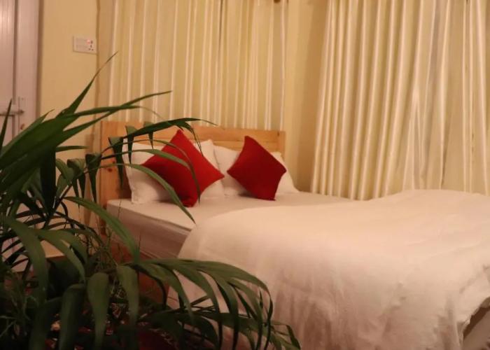 Hotel Young's Stupa