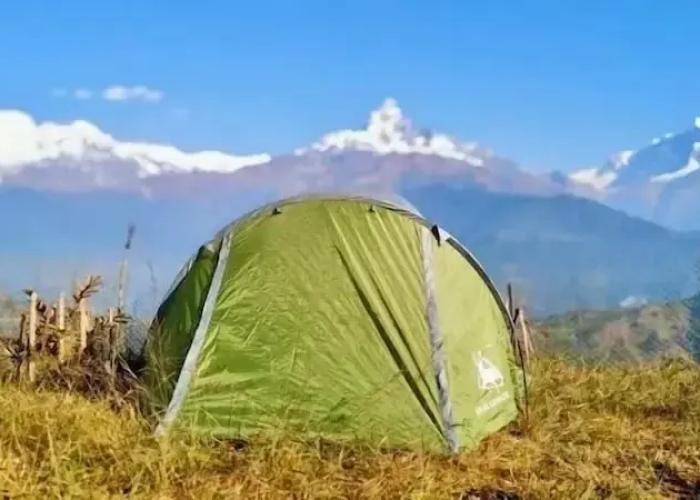 Moonlight Homestay And Camping Site
