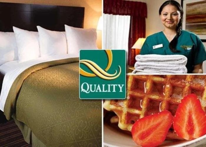 Quality Hotels