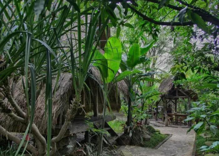 Sapulidi Cafe, Resort & Gallery