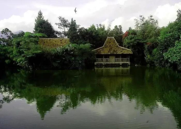 Sapulidi Cafe, Resort & Gallery