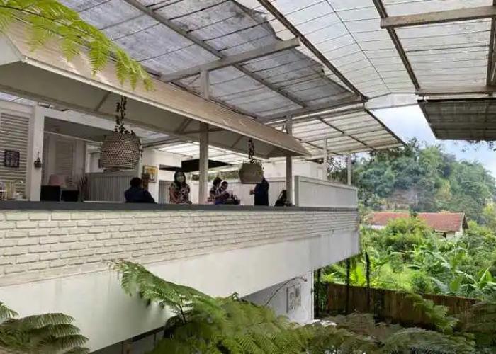 The Peak Home